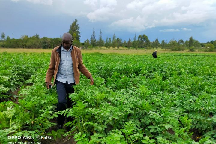 Kenya Climate Smart Agriculture Project 