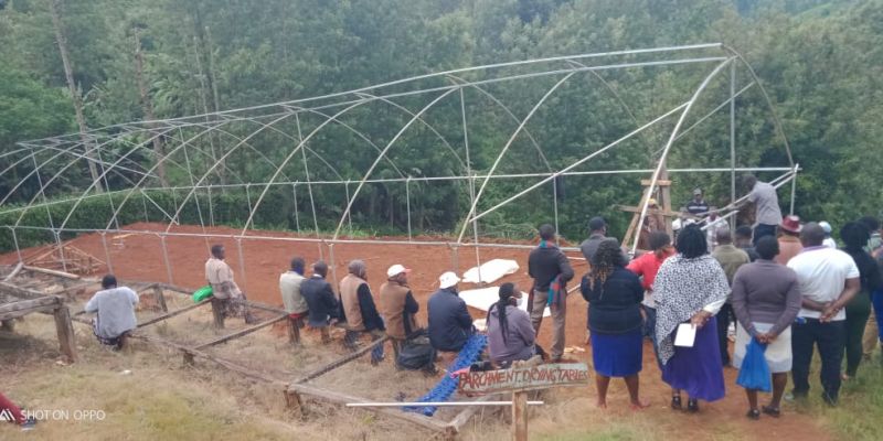 Photos of Solar Coffee Driers