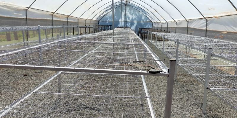 Photos of Solar Coffee Driers