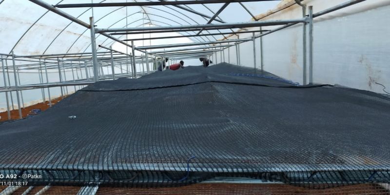 Photos of Solar Coffee Driers