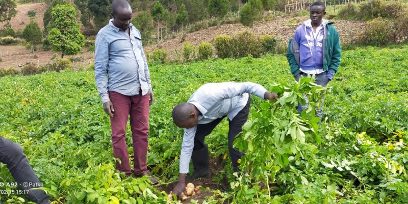 Images of people participating in Public-Private Partnership