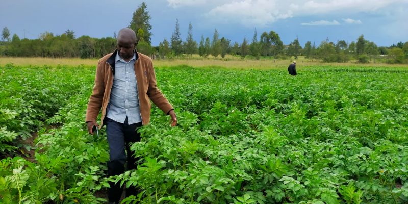Images of people participating in Public-Private Partnership