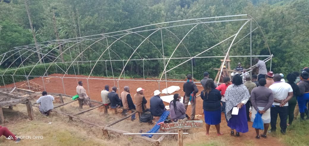 Empty solar drier interior with mesh beds